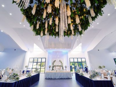 Anthurium Espace