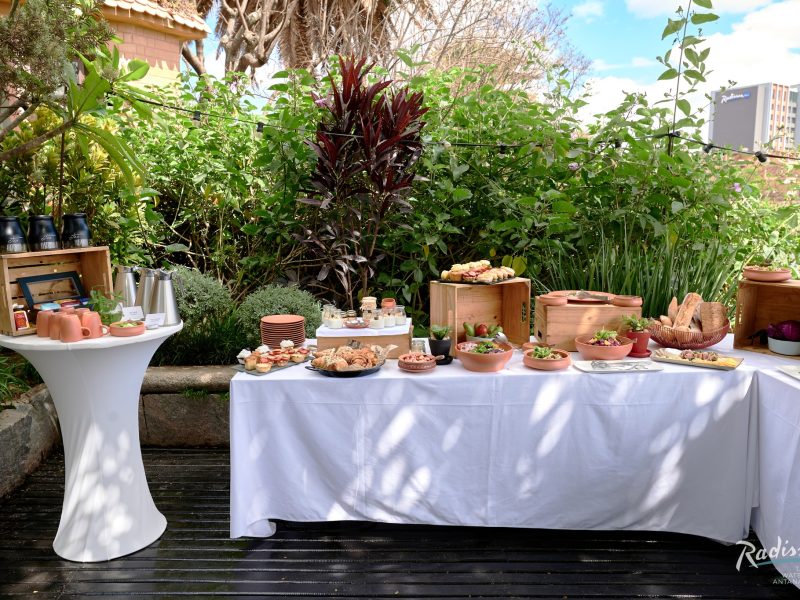 Radisson Hotel Tamboho