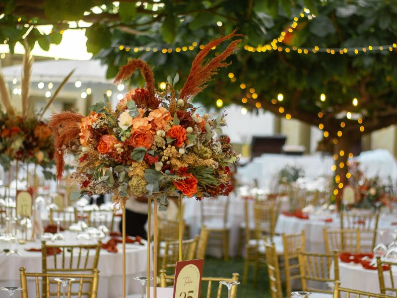 Baobab Tree Hotel & Spa